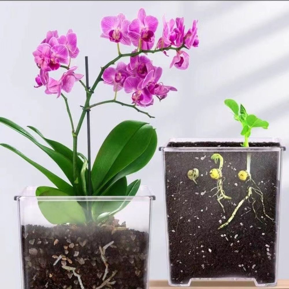 Transparent Material Acrylic P – обзор и цена Self Watering Insert