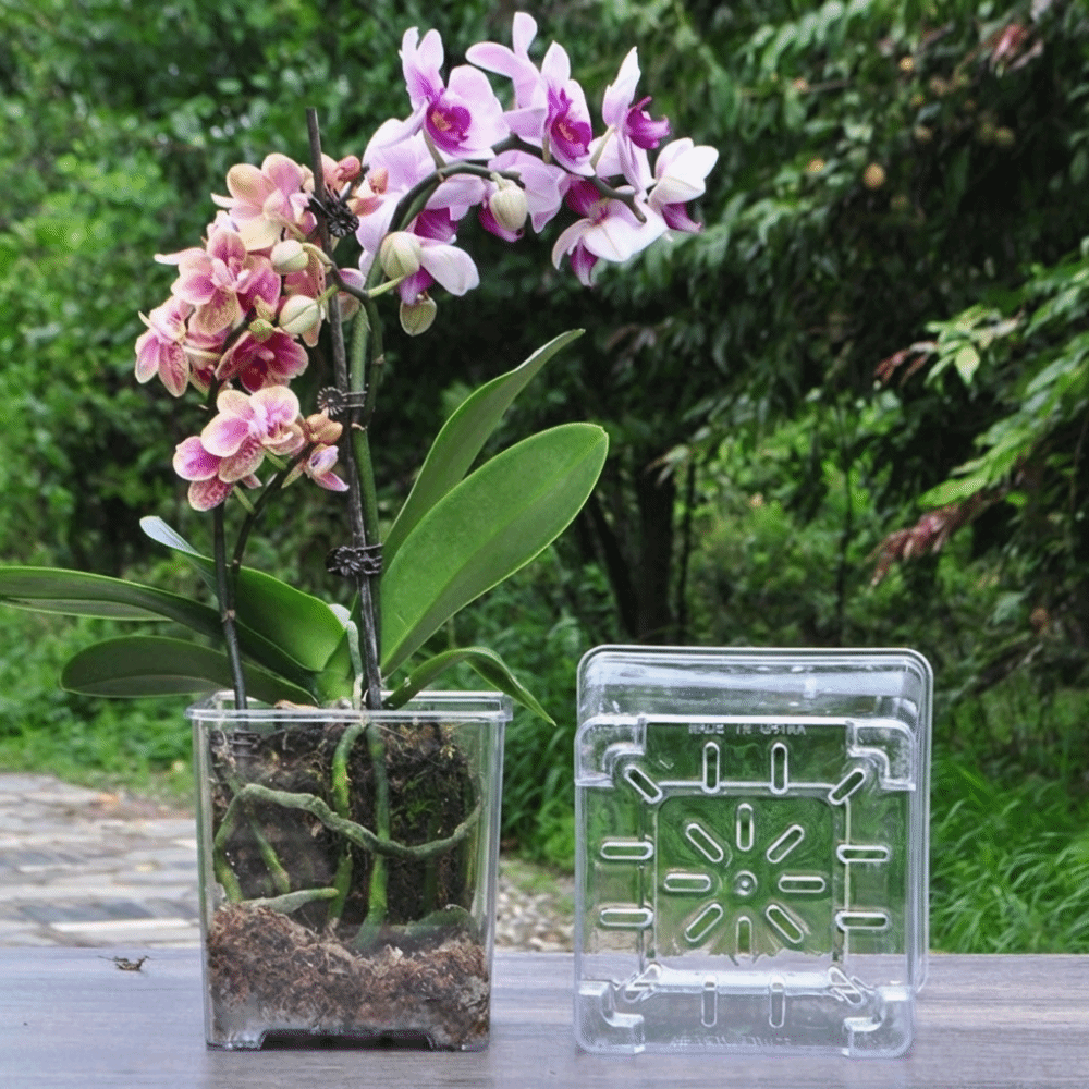 Transparent Material Acrylic P – обзор и цена Self Watering Insert