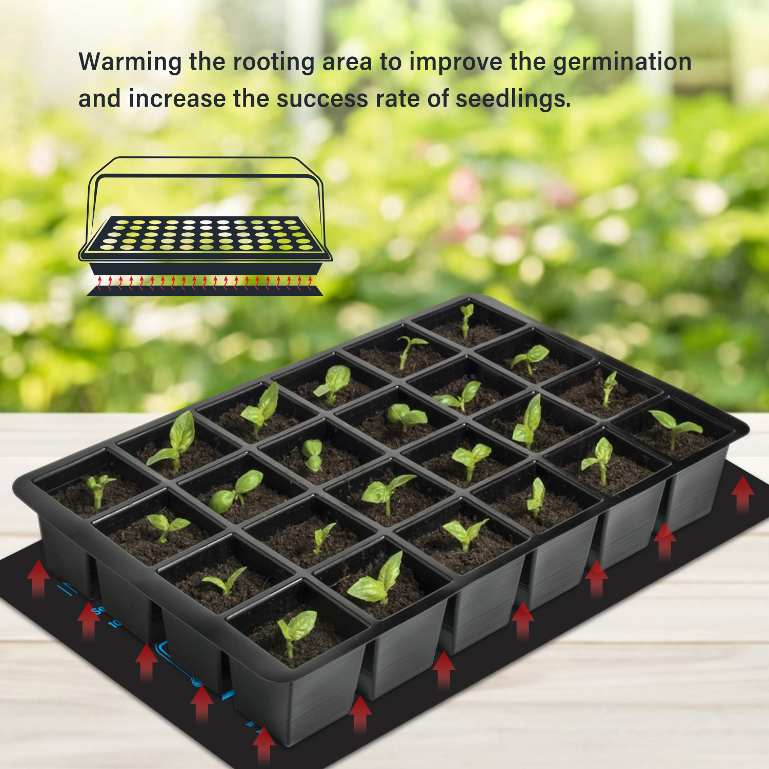20.75x10CM EU/US/UK/AU Plug Se – обзор и цена Heat Mat Seedling