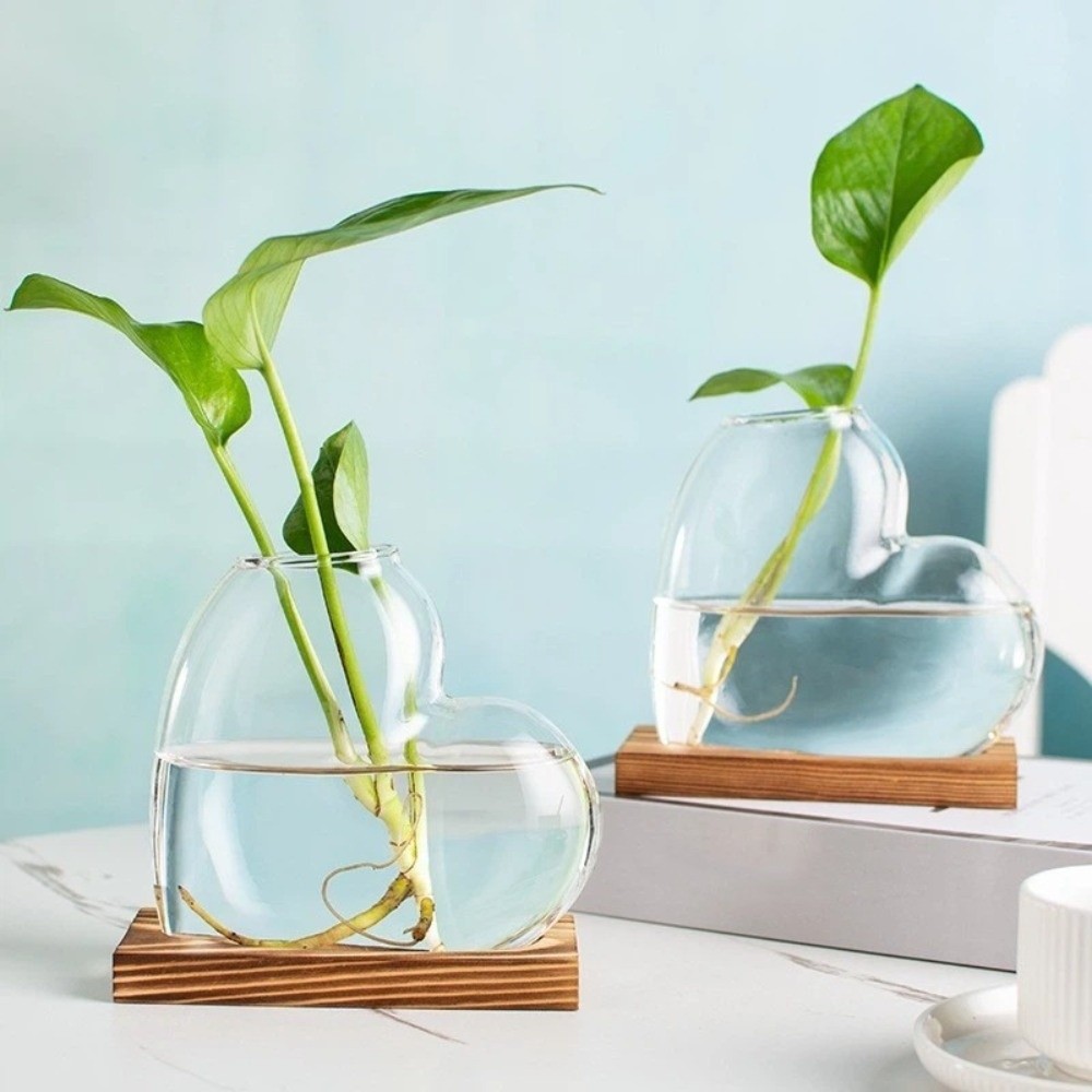 Transparent Hydroponic Glass V – обзор и цена Propagation Station Vase