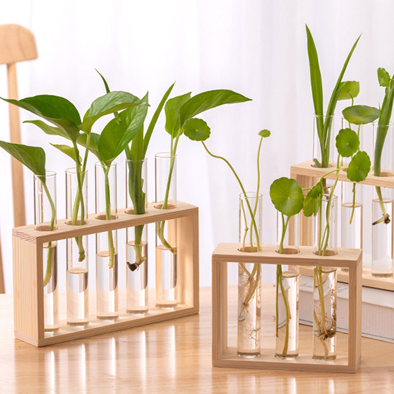 Hydroponic Plants Container wi – обзор и цена Propagation Station Vase