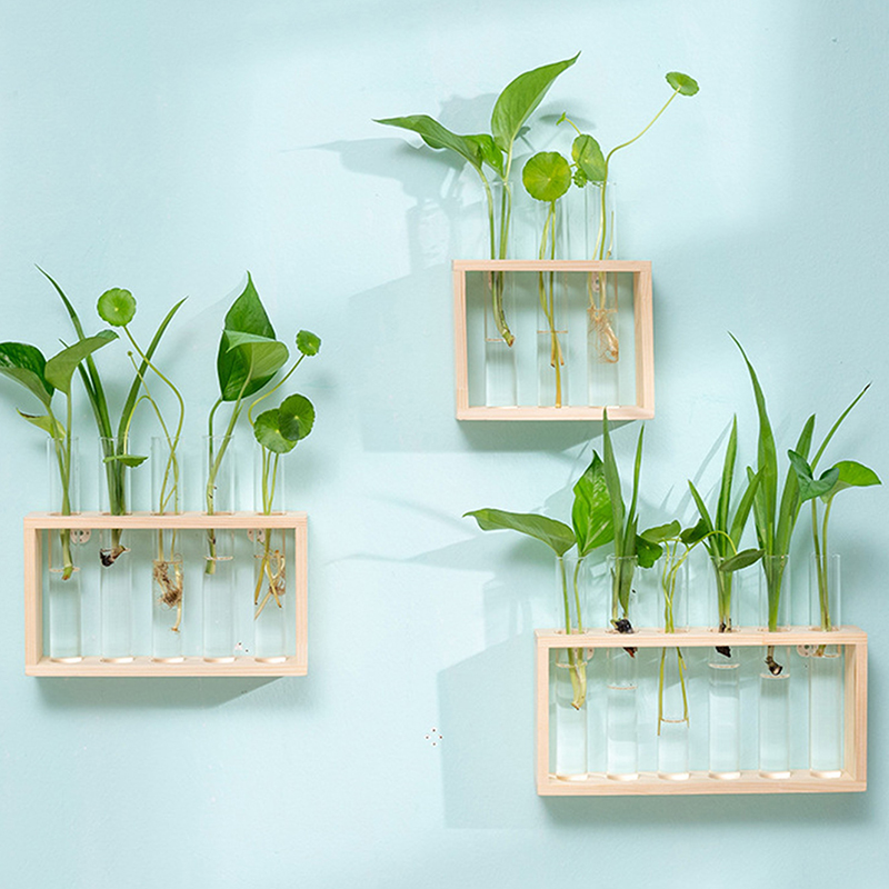 Hydroponic Plants Container wi – обзор и цена Propagation Station Vase