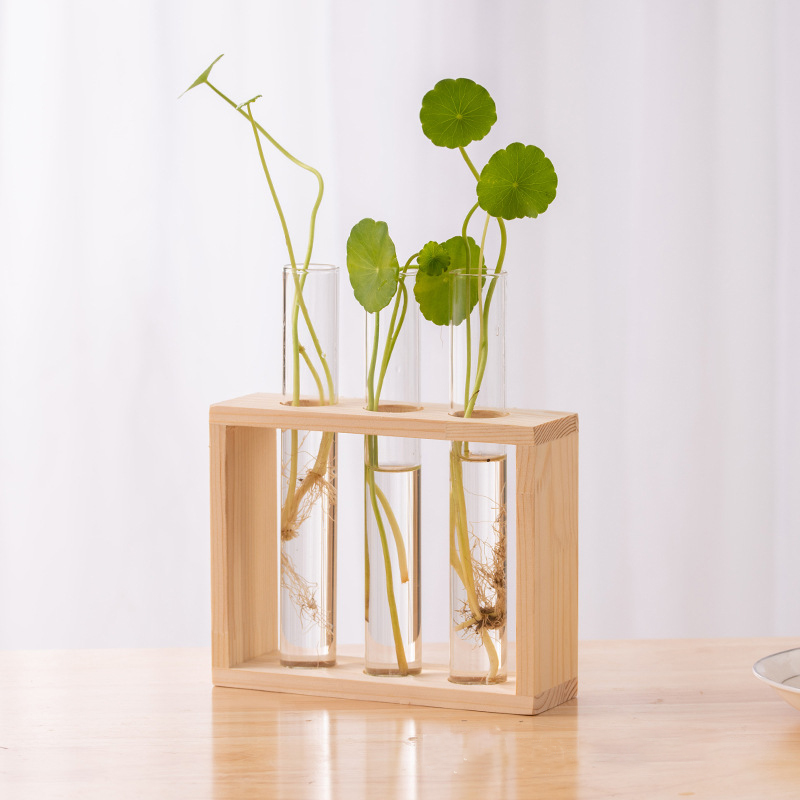 Hydroponic Plants Container wi – обзор и цена Propagation Station Vase