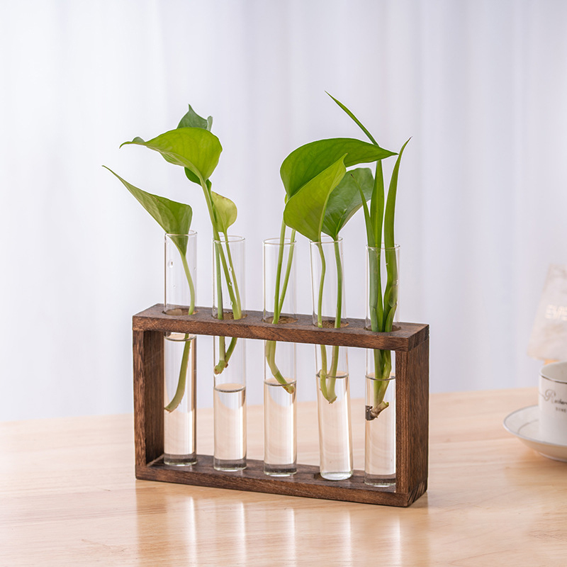 Hydroponic Plants Container wi – обзор и цена Propagation Station Vase