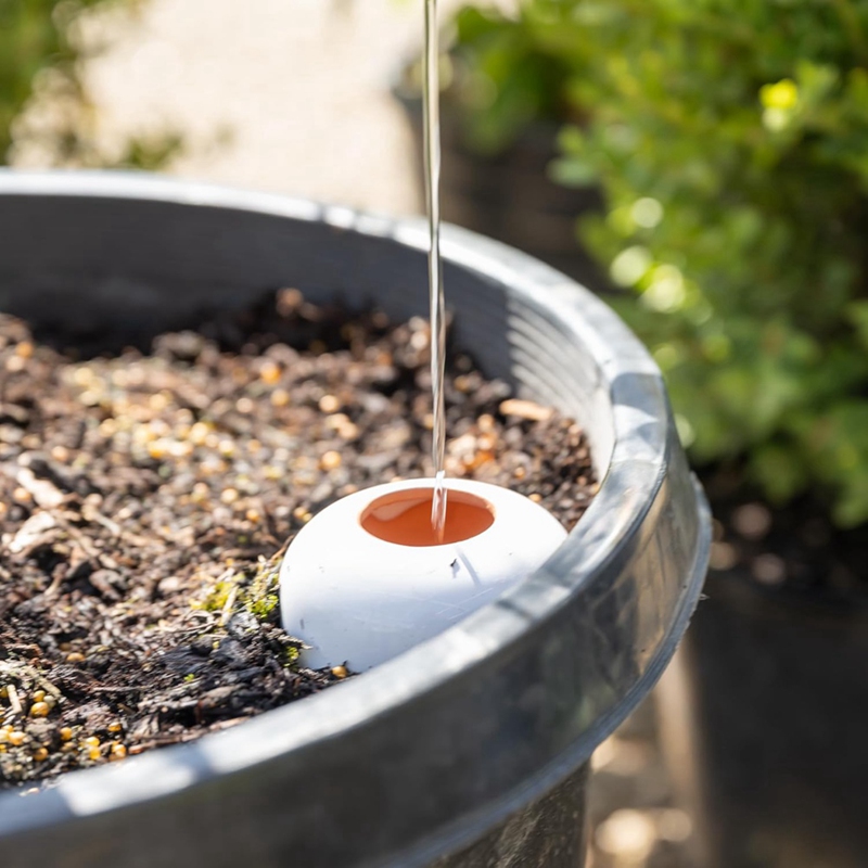 Plant Watering Ball, Terracott – обзор и цена Self Watering Insert