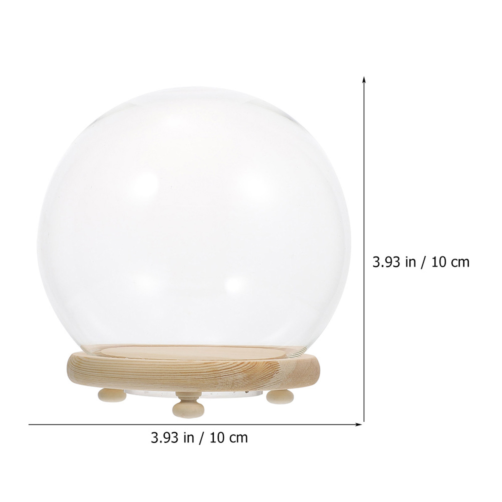Clear Glass Dome Preserved Flo – обзор и цена Plastic Dome Clear